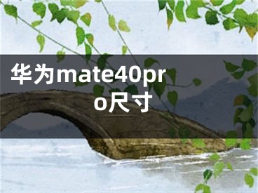 华为mate40pro尺寸