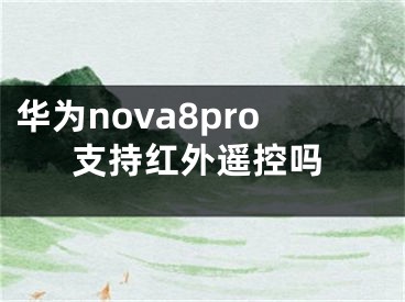 华为nova8pro支持红外遥控吗