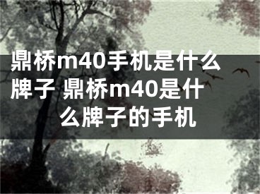 鼎桥m40手机是什么牌子 鼎桥m40是什么牌子的手机