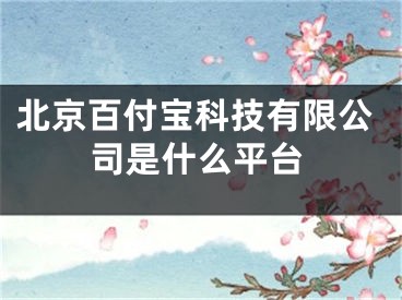 北京百付宝科技有限公司是什么平台