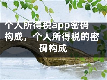 个人所得税app密码构成，个人所得税的密码构成