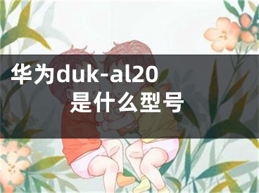 华为duk-al20是什么型号