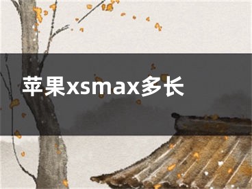 苹果xsmax多长