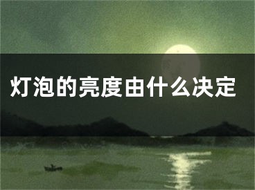 灯泡的亮度由什么决定