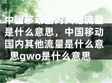 中国移动国内其他流量是什么意思，中国移动国内其他流量是什么意思gwo是什么意思