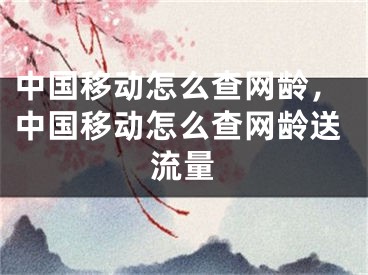 中国移动怎么查网龄，中国移动怎么查网龄送流量
