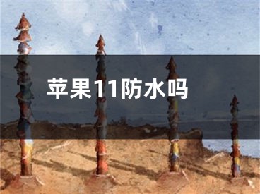 苹果11防水吗