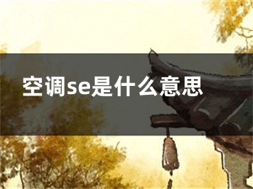 空调se是什么意思