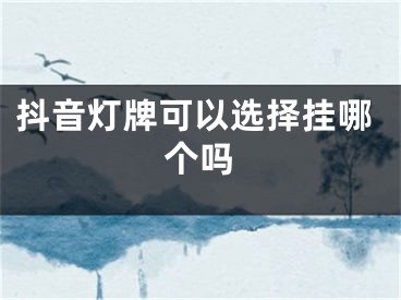 抖音灯牌可以选择挂哪个吗