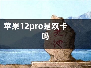 苹果12pro是双卡吗