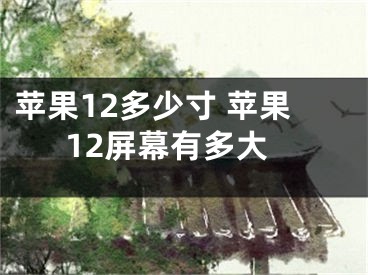 苹果12多少寸 苹果12屏幕有多大