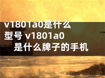 v1801a0是什么型号 v1801a0是什么牌子的手机