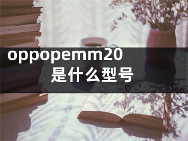 oppopemm20是什么型号