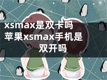 xsmax是双卡吗 苹果xsmax手机是双开吗