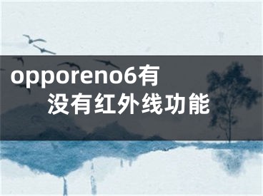 opporeno6有没有红外线功能