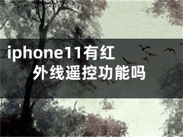 iphone11有红外线遥控功能吗