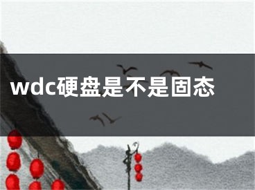 wdc硬盘是不是固态