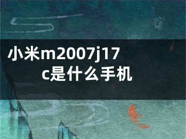 小米m2007j17c是什么手机