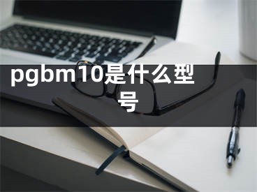 pgbm10是什么型号