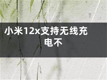 小米12x支持无线充电不