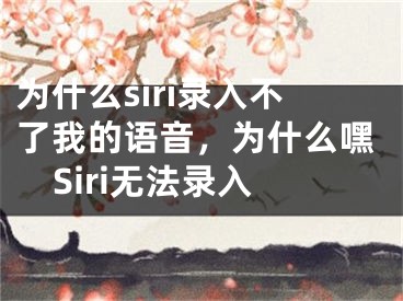 为什么siri录入不了我的语音，为什么嘿Siri无法录入