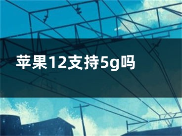 苹果12支持5g吗