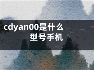 cdyan00是什么型号手机
