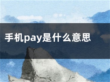 手机pay是什么意思