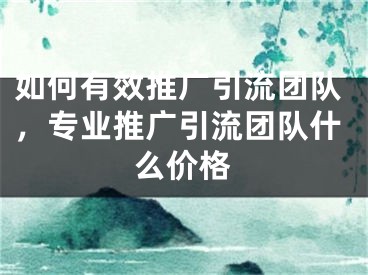 如何有效推广引流团队，专业推广引流团队什么价格