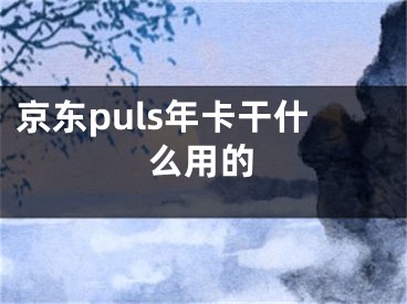 京东puls年卡干什么用的