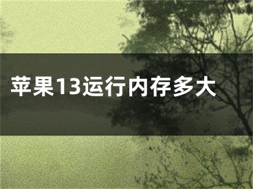 苹果13运行内存多大