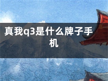 真我q3是什么牌子手机
