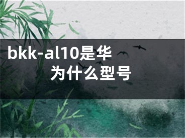 bkk-al10是华为什么型号