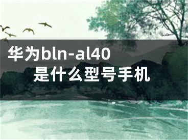 华为bln-al40是什么型号手机