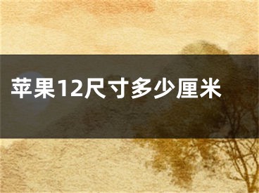 苹果12尺寸多少厘米
