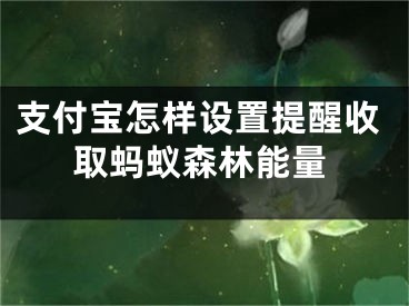 支付宝怎样设置提醒收取蚂蚁森林能量