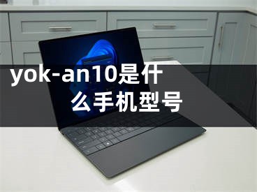 yok-an10是什么手机型号