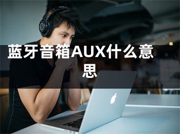 蓝牙音箱AUX什么意思
