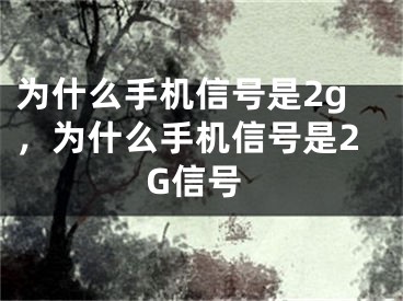 为什么手机信号是2g，为什么手机信号是2G信号