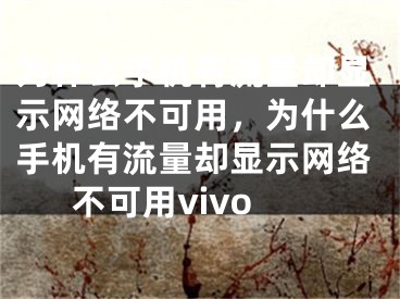 为什么手机有流量却显示网络不可用，为什么手机有流量却显示网络不可用vivo