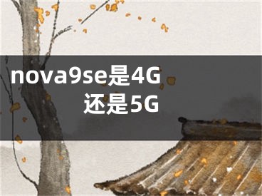 nova9se是4G还是5G