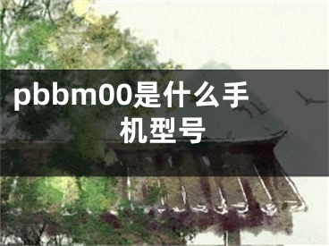 pbbm00是什么手机型号