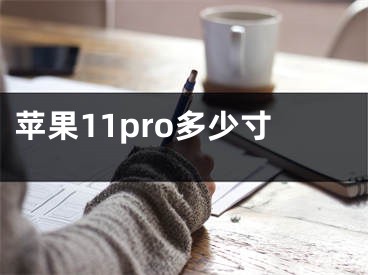 苹果11pro多少寸