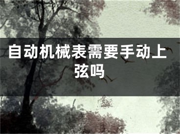 自动机械表需要手动上弦吗