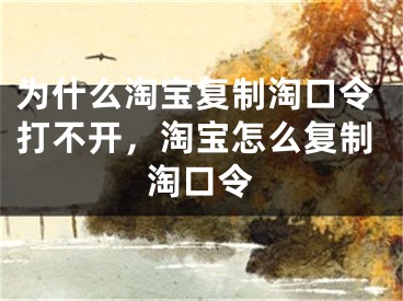 为什么淘宝复制淘口令打不开，淘宝怎么复制淘口令