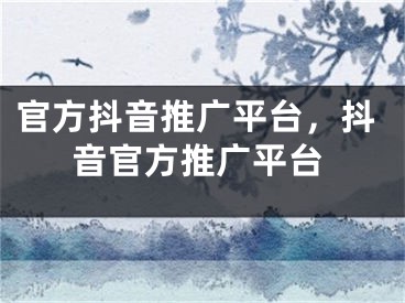 官方抖音推广平台，抖音官方推广平台