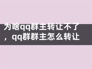 为啥qq群主转让不了，qq群群主怎么转让