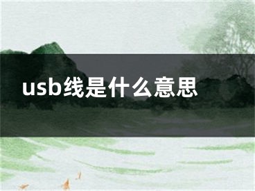 usb线是什么意思