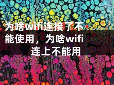 为啥wifi连接了不能使用，为啥wifi连上不能用