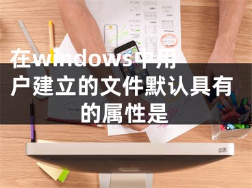 在windows中用户建立的文件默认具有的属性是